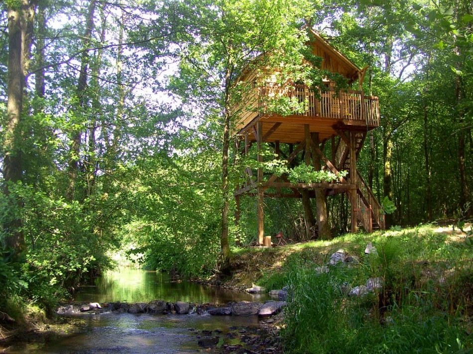 Cabane arbre